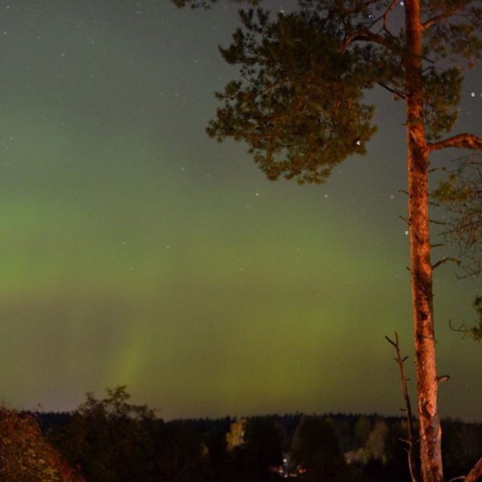 Жители Петербурга смогут увидеть северное сияние (фото)